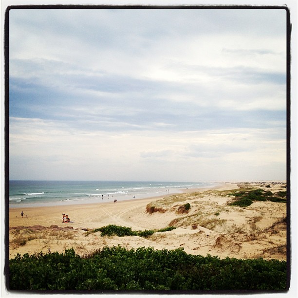 Beautiful dune and beach