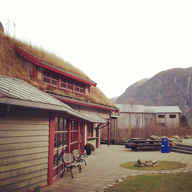 Roof with grass