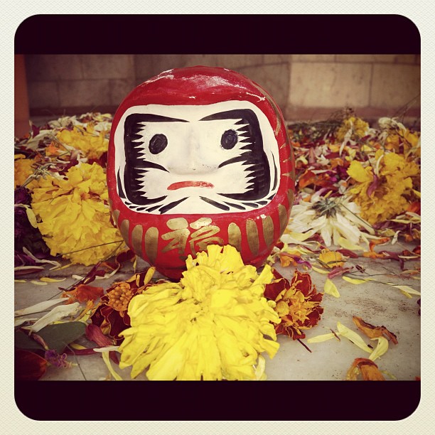 Daruma