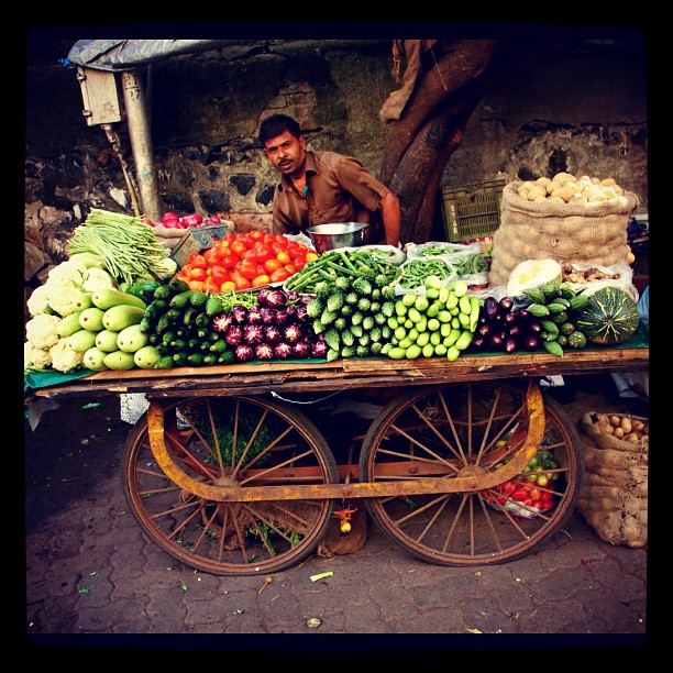 Vegetable stand