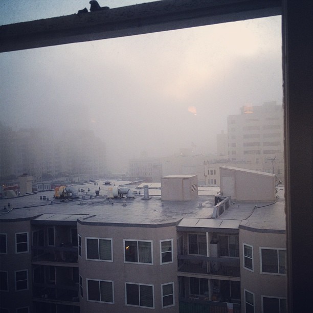 Foggy morning