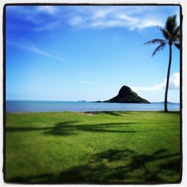 Chinaman's hat