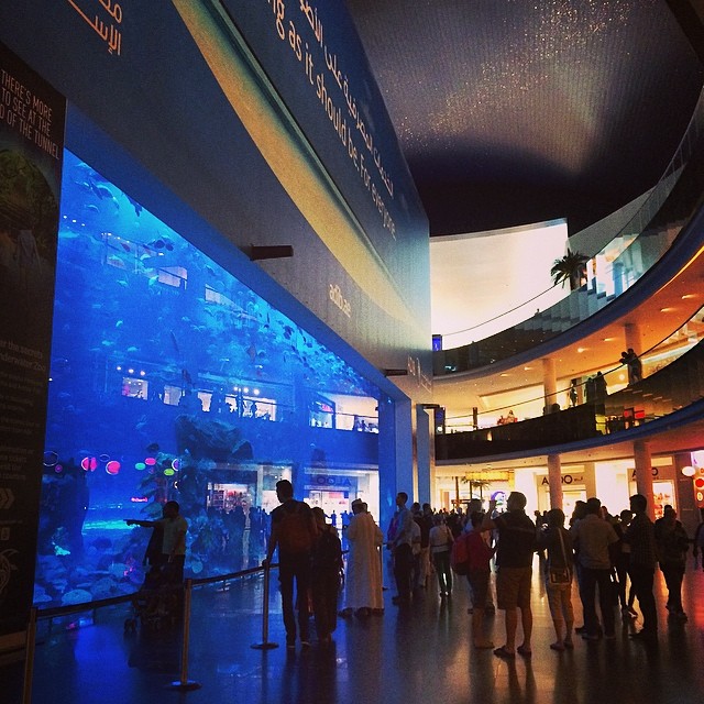 Huge aquarium inside of a shopping mall!