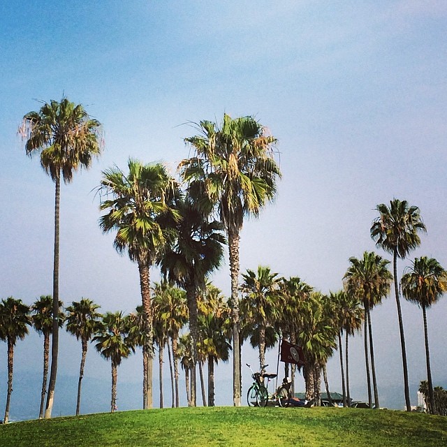 Venice beach