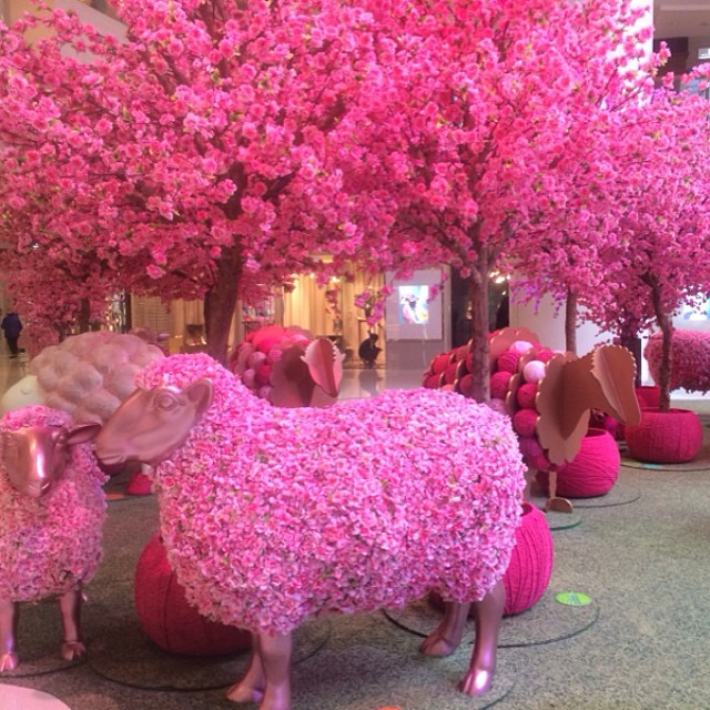 year of the pink sheep Hong Kong