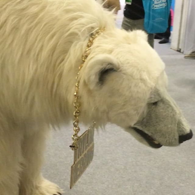 It's a polar bear!!!! #aoicannes2016 #canneslions #canneslions2016 #taylorherring