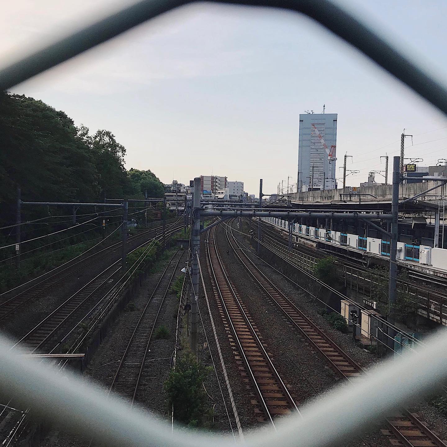 This week's update from AOI Global: Oji Station, Tokyo﻿
You can see both local and bullet trains from here! ﻿
﻿﻿
﻿
﻿
#filmmakersworld﻿﻿
﻿ ﻿
﻿
﻿ #shinkansen﻿
#whenintokyo﻿
﻿