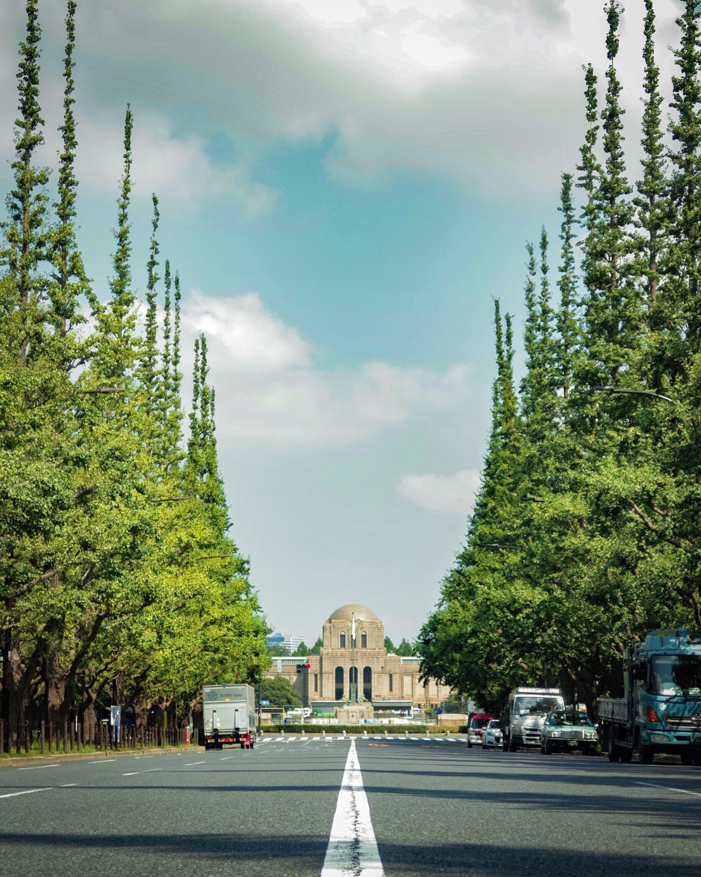 _﻿
Here's this week's update from AOI Global at﻿
Ichonamiki, Gaien-mae and Tokyo!﻿
﻿
The ginkgo trees you see here turns bright yellow in Autumn. People enjoy the spectacular view of such seasonal beauty in Japan.﻿
﻿