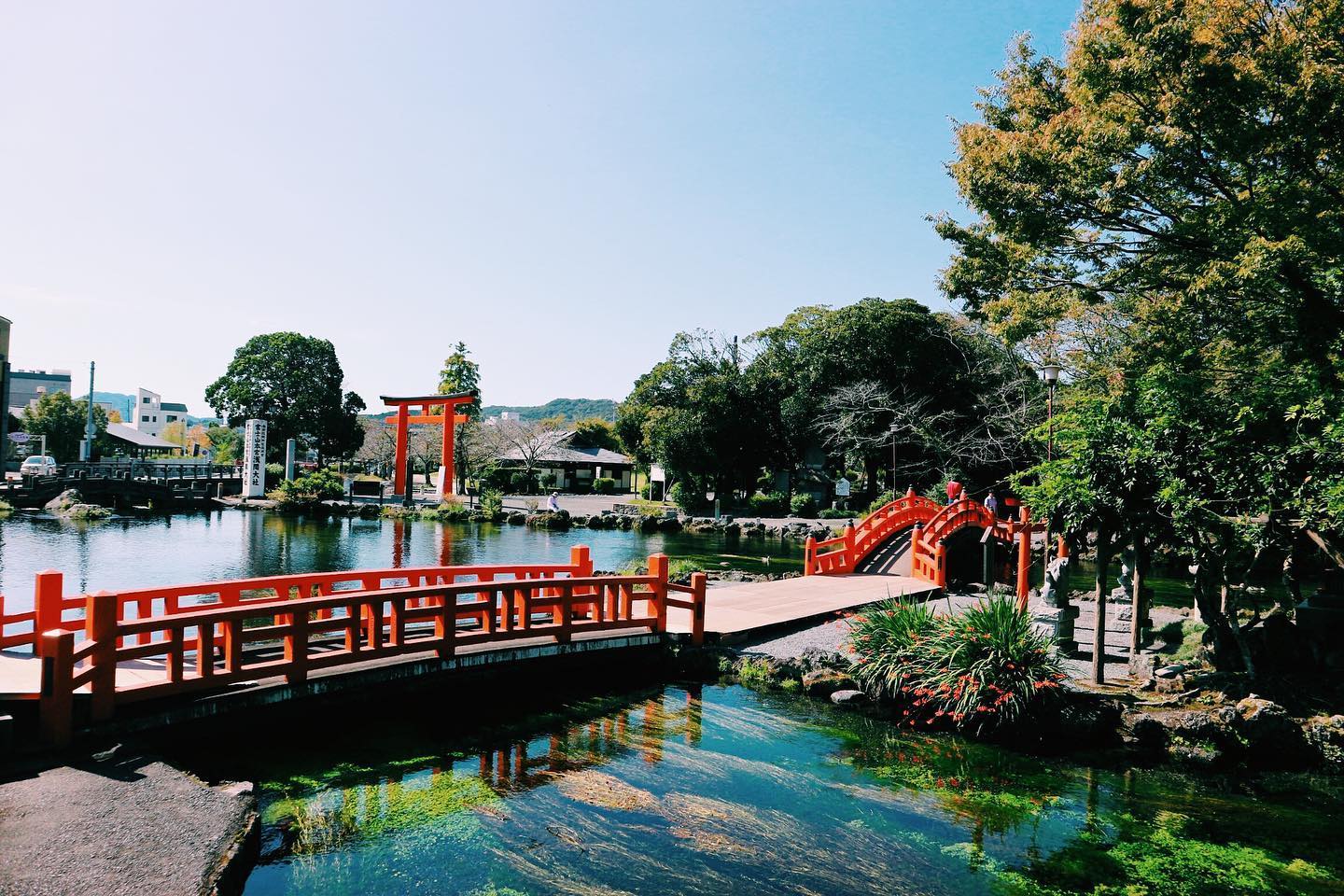 -⁣
Here's this week's update of from AOI Global at Wakutama-ike in Shizuoka prefecture! (photo taken pre Covid-19)⁣
⁣
Wakutamaike is located in the precinct of the Fujisan Hongu Sengen shrine and has been designated as a Special Natural Monument. This pond was formed as a result of an eruption of Mount Fuji approximately 10 thousand years ago, which formed cracks in underground volcanic rocks. The water of the pond is ground water which constantly gushes out of these rocks. This is where the pond gets its name “Wakutama” or “rising bubbles” from.⁣
⁣
You can now REMOTE SHOOT IN JAPAN with AOI Pro. Global!⁣
Contact us for details through the link in the bio.⁣
⁣
#weeklyinspiration﻿