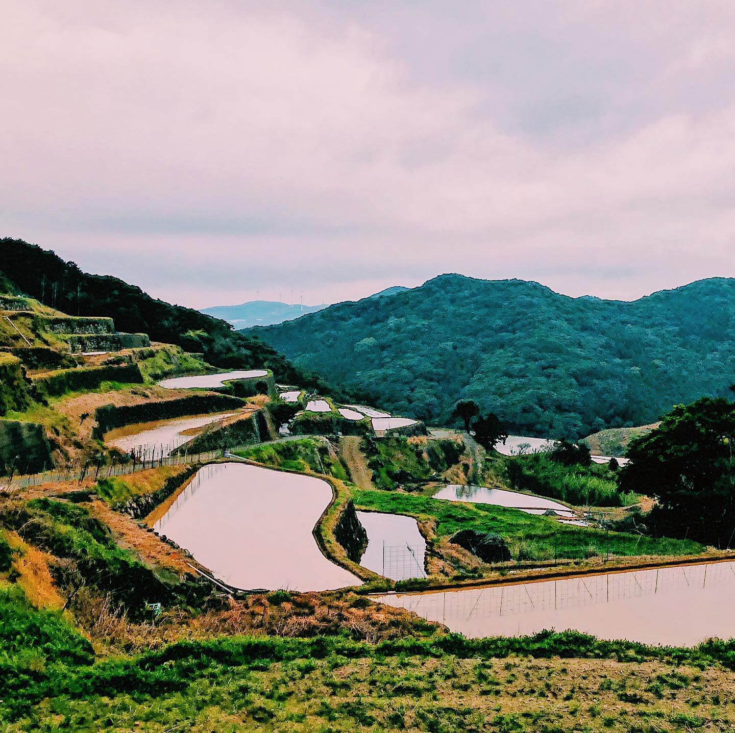 _﻿⁣⁣⁣
Here's this week's update of from AOI Global at Doya-tanada in Nagasaki prefecture (photo taken pre Covid-19).⁣
⁣⁣
Tanadas are terraced rice fields found in Japan’s mountainous countryside, where agriculture has been active for thousands of years. They were created in order to grow as much rice as possible in a small area. Many photographers gather to shoot the mystical sunsets at Doya-tanada. ⁣
⁣
REMOTE SHOOT In Japan with AOI Pro. Global!⁣⁣⁣
Contact us for details through the link in our bio.⁣⁣⁣
⁣⁣
#weeklyinspiration﻿