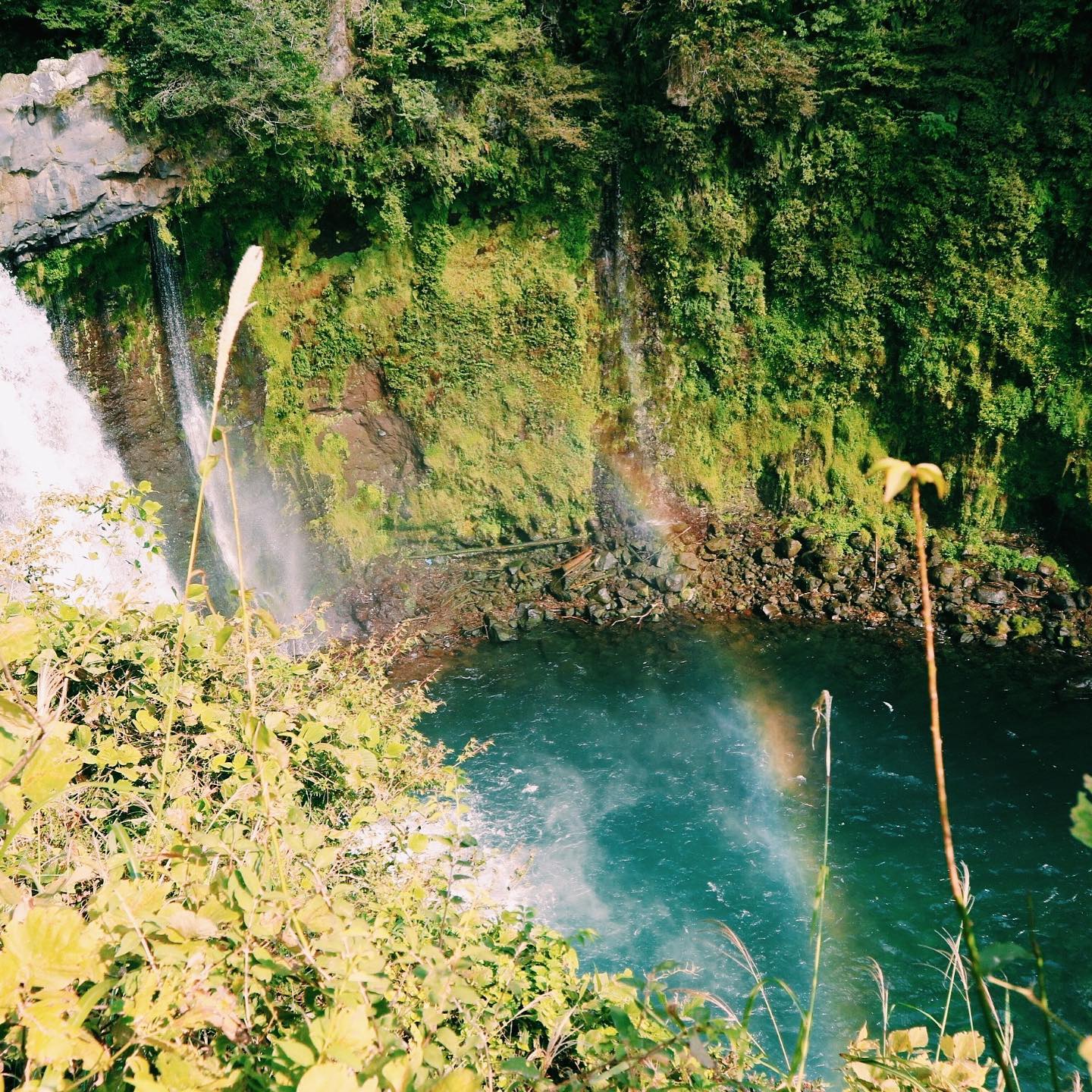 _⁣
Here’s this week’s update of from AOI Global at Shiraito and Otodome Falls in Shizuoka prefecture! ⁣
⁣
Otodome Falls is just a short hike away from the famous Shiraito Falls in the Fuji-Hakone-Izu National Park. ⁣
⁣
These waterfalls are up to 25m high, with Shiraito Waterfall extending into 150m in length. They are different from regular waterfalls as there is no river that flows over them, but their water is spring water from Mount Fuji that trickles through underground rocks, which makes the water appear like white threads of silk as it streams down the cliff (hence the name “Shiraito” or “white threads”).

#weeklyinspiration﻿