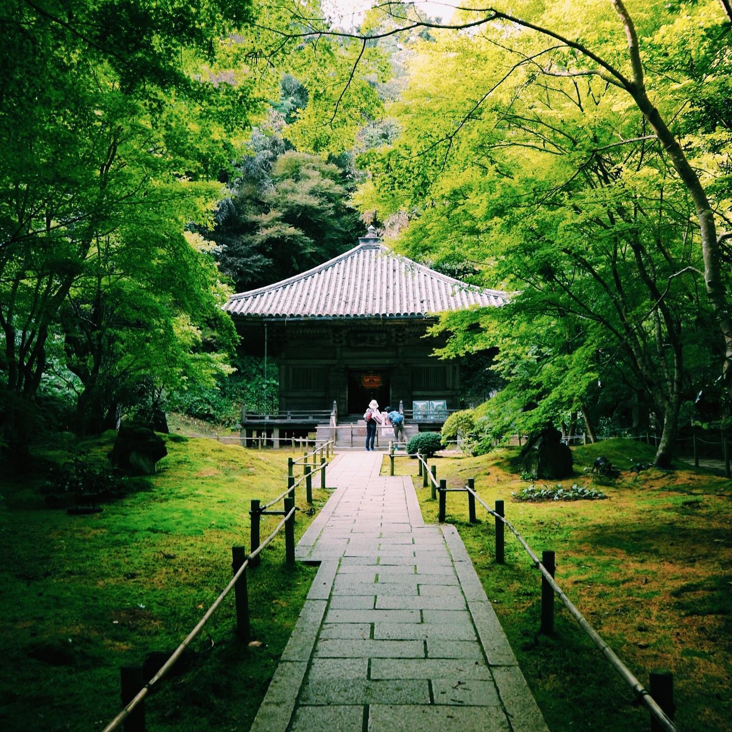 _⁣
Here’s this week’s update of from AOI Global at Entsū-in Temple in Matsushima, Miyagi Prefecture. ⁣
⁣
This Buddhist Temple was founded in 1647 to house the mausoleum of Date Mitsumune, the grandson of Date Masamune, a regional ruler in the early Edo Period who founded the city of Sendai. The temple is surrounded by a beautiful Japanese Garden, known to be most scenic during autumn season as the leaves acquire their autumn hues.⁣
⁣
REMOTE SHOOT In Japan with AOI Pro. Global.⁣⁣
Contact us for details through the link in our bio.⁣⁣⁣⁣⁣⁣
⁣⁣
#weeklyinspiration﻿ #remoteshooting⁣