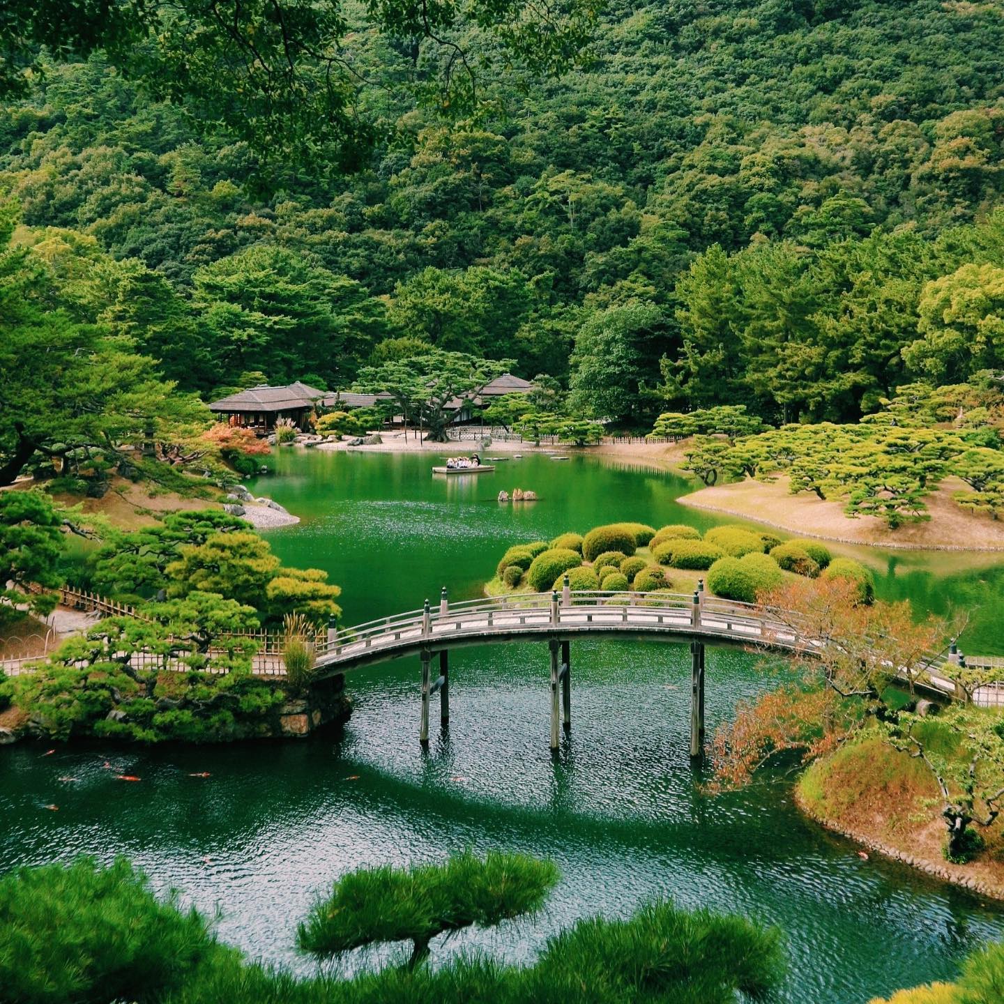 _⁣
Here’s this week’s from AOI Global at Ritsurin-Koen in Takamatsu, Kagawa Prefecture. ⁣
⁣
Ritsurin-Koen dates back to the early 17th century and covers 750,000 square meters, featuring traditional landscaping, ponds, bridges, a teahouse and a boat ride. With its beautiful buildings and the incorporation of Mt. Shiun as a backdrop, it is considered one of the most famous historical gardens in Japan.

#weeklyinspiration﻿ #remoteshooting⁣
#Ritsurin-Koen