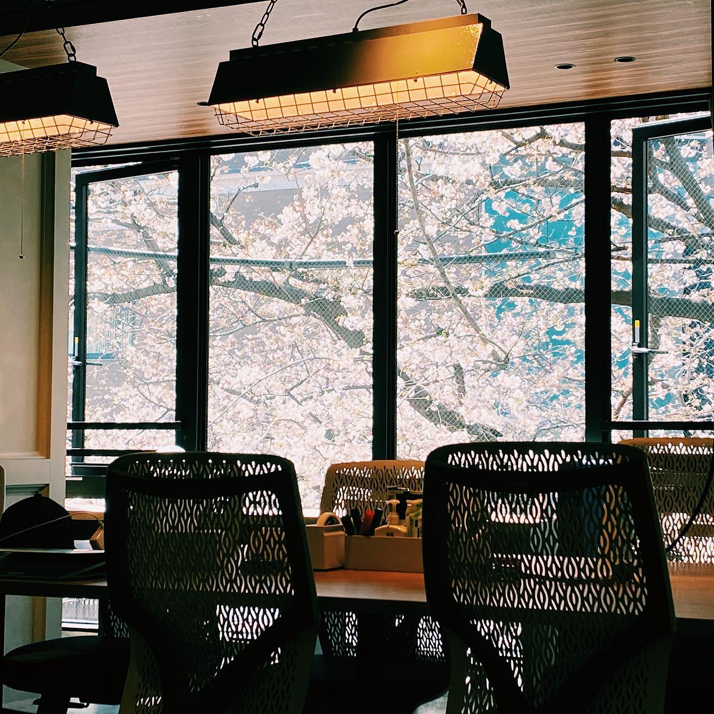 _
Cherry blossom season at the AOI Global Nakameguro office

 A stunning spring view through our windows

#weeklyinspiration﻿ #tokyocherryblossom⁣