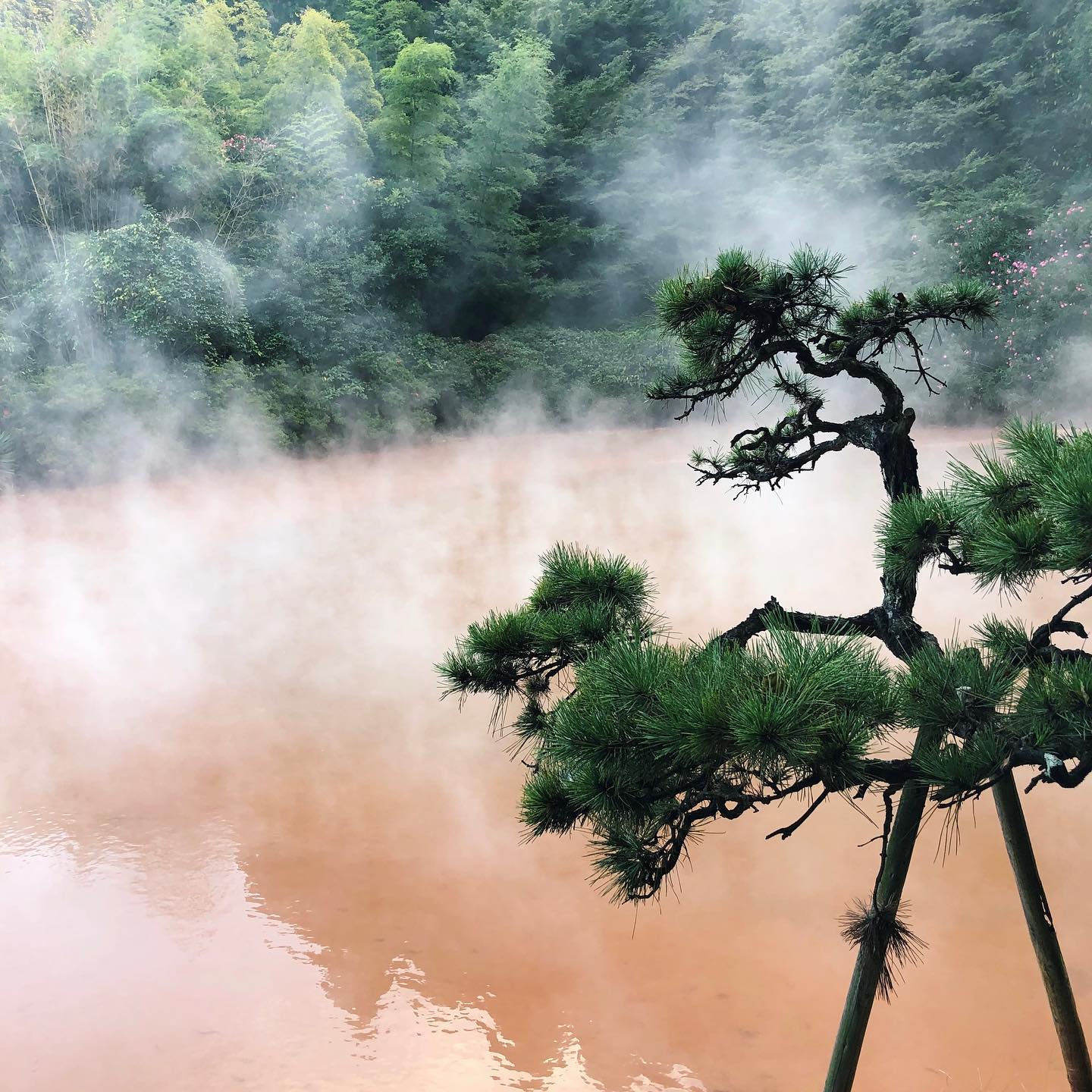 _⁣
Here’s this week’s from AOI Global at Chinoike Jigoku in Beppu, Oita Prefecture. ⁣

Chinoike Jigoku (which translates to “Blood-pond Hell”) is one of the hot springs (onsen) found in Beppu city, a famous hot spring district. The naturally occurring vivid red color comes from the minerals and iron in the rocks. The water is too hot to fully bathe in, however, you can enjoy a nice foot bath.

#weeklyinspiration﻿ #remoteshooting⁣