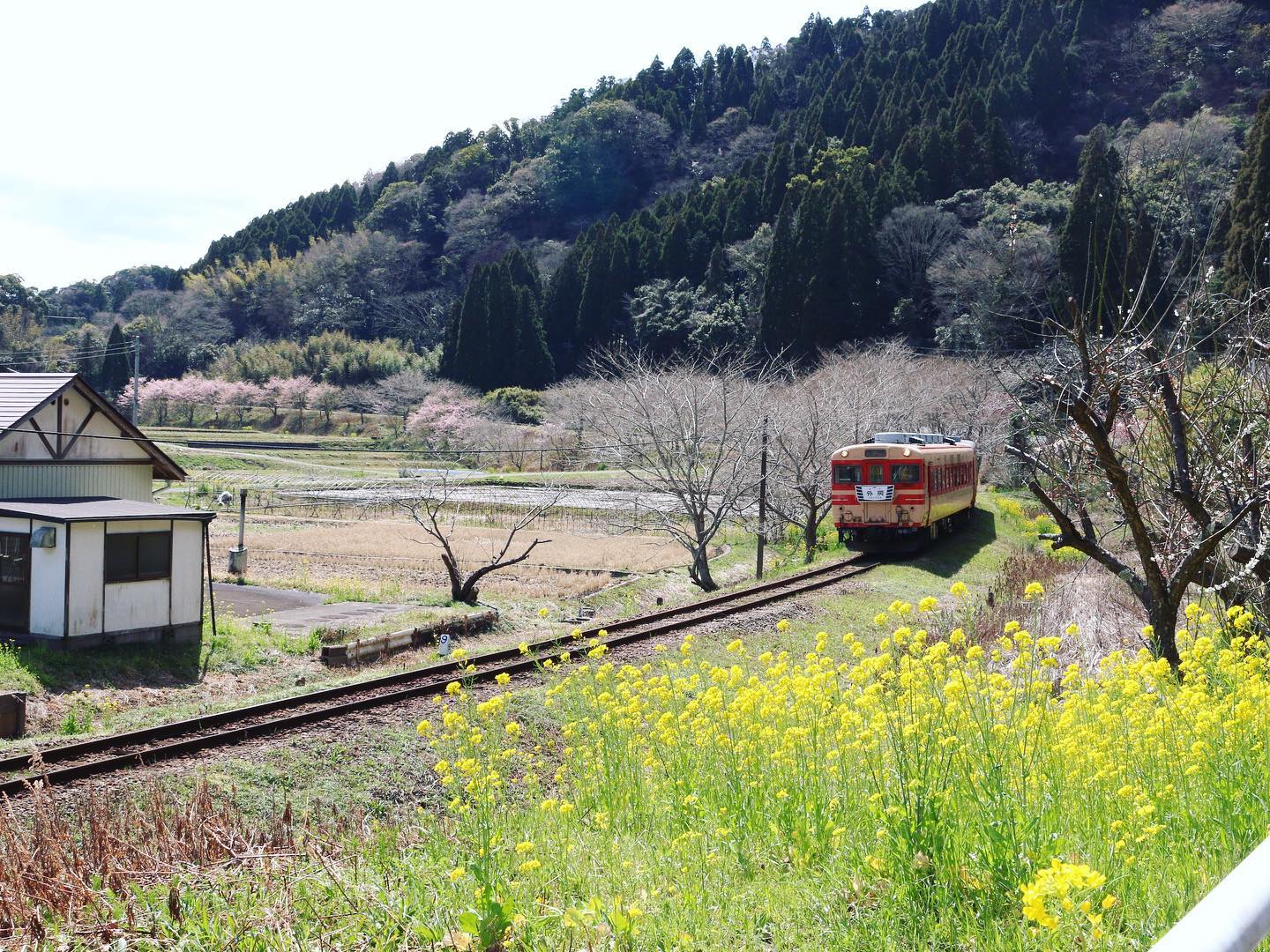 _⁣
The photo for today’s  #shootinjapan by AOI Global was shot near a small train station in Chiba prefecture📸 
The idyllic small towns of Japan offer a completely different view from the bustling streets of Tokyo How cute is this little train!

#aoiglobal  #filmproduction  #productioncompany  #filmmakersworld  #productionservices  #shootinglocation  #filmwork  #filmmakinglife  #weeklyinspiration 